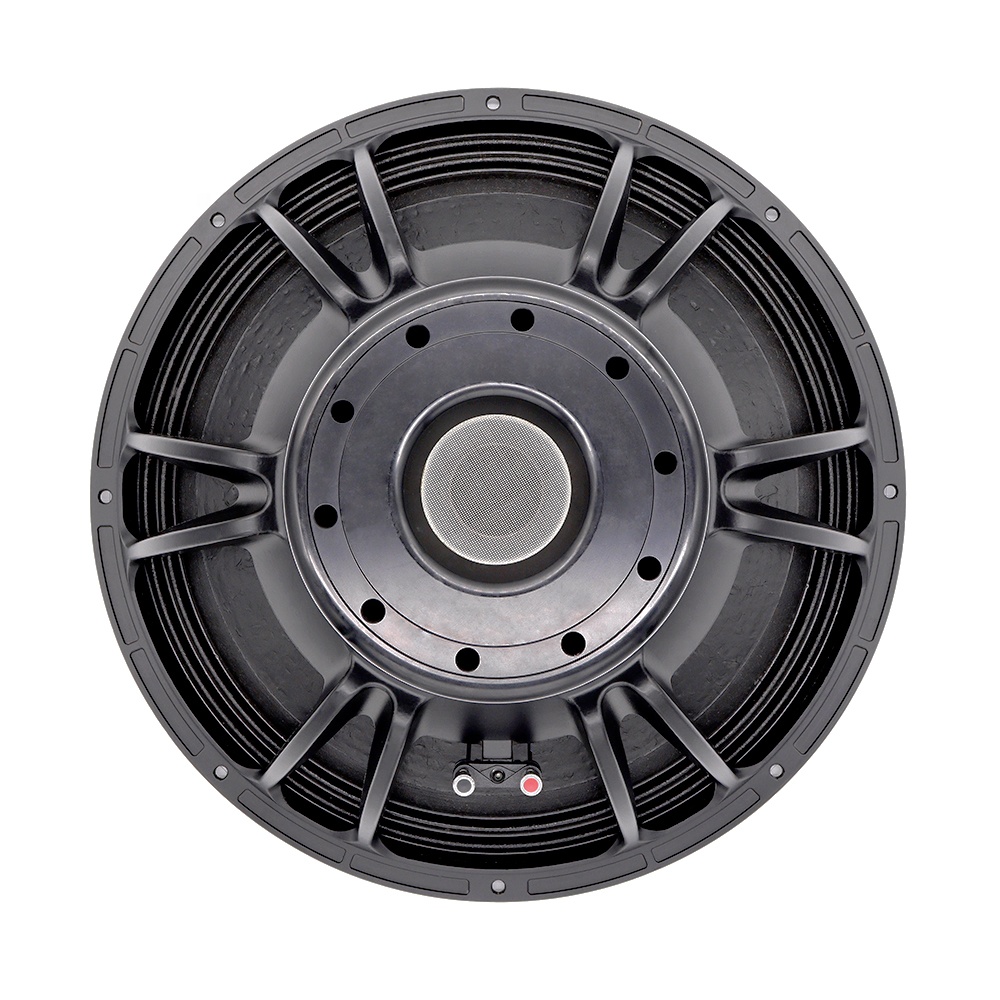 21'' Profesyonel Ses Sistemi L - Speakers incelemesi ve fiyatı