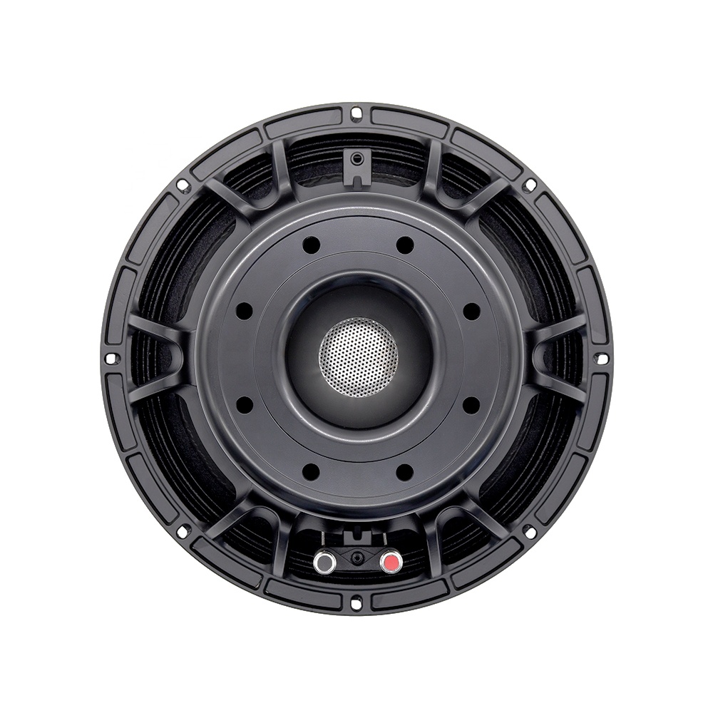 12DS Pro Ses Ekipmanları 12''  - Speakers incelemesi ve fiyatı